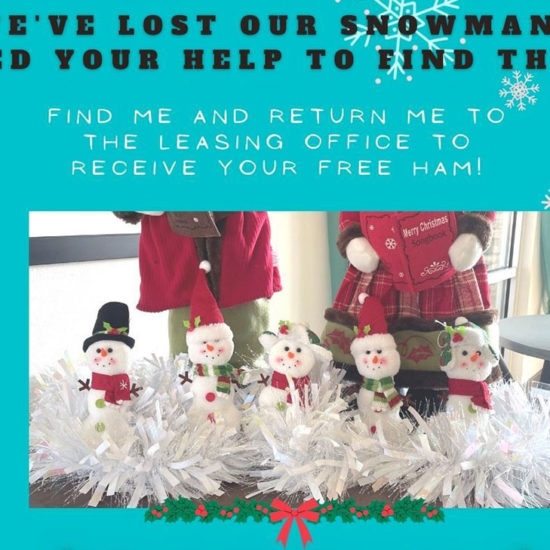 madison missing snowman